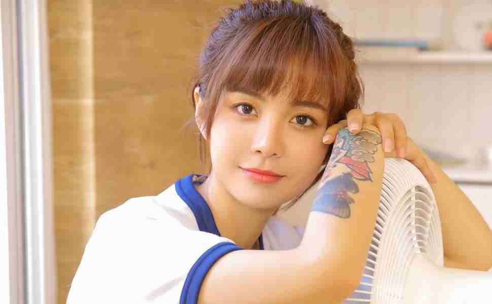 云站群和普通站群